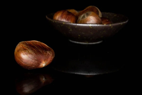 Brown edible chestnut isolated on black glass — 图库照片