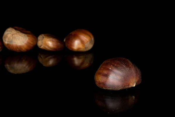 Brown edible chestnut isolated on black glass — 图库照片