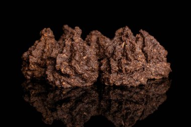 Siyah camda izole edilmiş hindistan cevizli kakao bisküvisi.