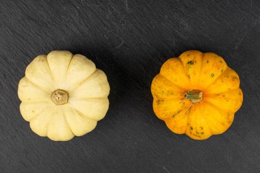 Gri taşın üzerine dekoratif kabak