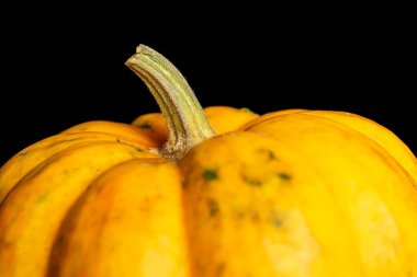 Decorative gourd isolated on black glass