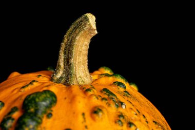 Decorative gourd isolated on black glass