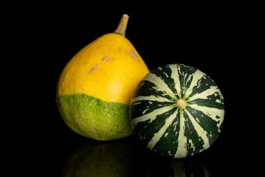 Decorative gourd isolated on black glass