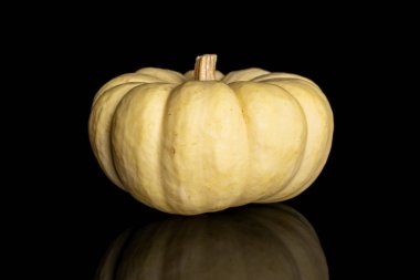 Decorative gourd isolated on black glass