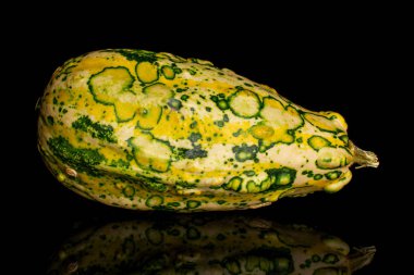 Decorative gourd isolated on black glass