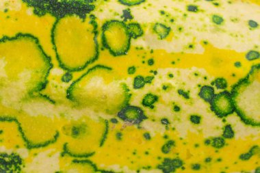 Decorative gourd isolated