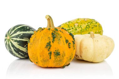 Decorative gourd isolated on white