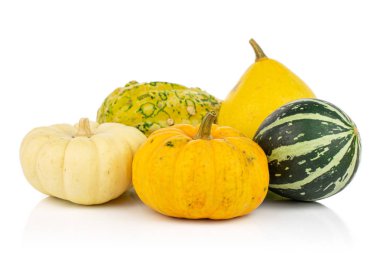 Decorative gourd isolated on white