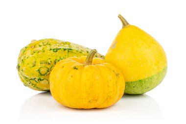 Decorative gourd isolated on white