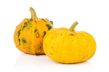Decorative gourd isolated on white