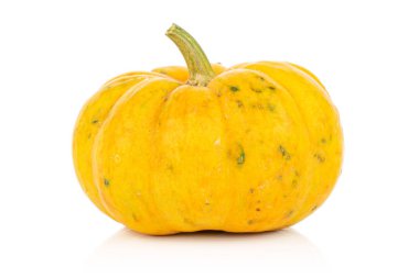 Decorative gourd isolated on white