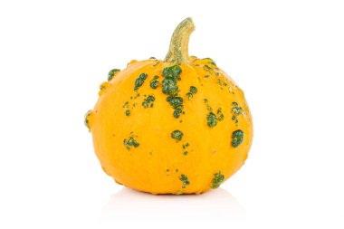 Decorative gourd isolated on white
