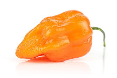 Hot chili biber üzerine beyaz izole