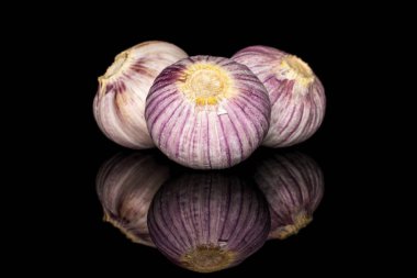 Single clove garlic isolated on black glass