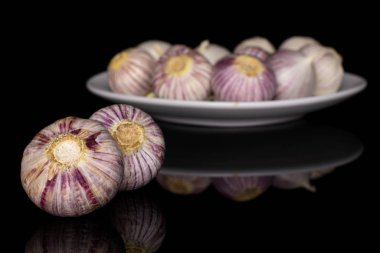 Single clove garlic isolated on black glass