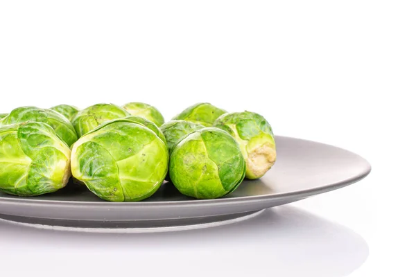 Germe de Bruxelles vert isolé sur blanc — Photo