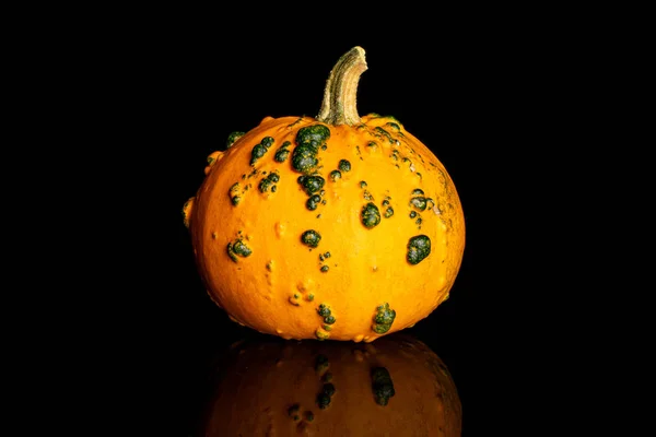Decorative gourd isolated on black glass — 图库照片