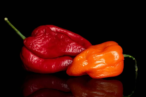 Hot chili pepper isolated on black glass — Stock Photo, Image