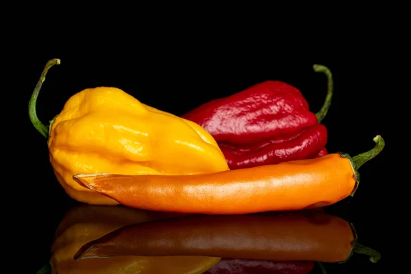 Hot chili pepper isolated on black glass — Stock Photo, Image