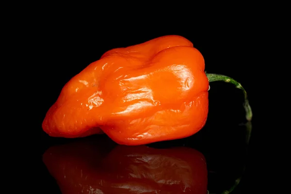 Hot chili pepper isolated on black glass — Stockfoto