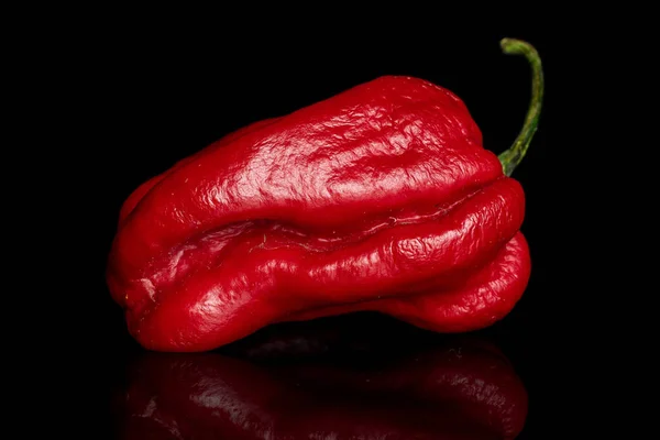 Forró chili paprika izolált fekete üveg — Stock Fotó