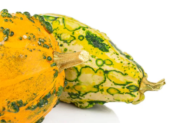 Decorative gourd isolated on white — ストック写真