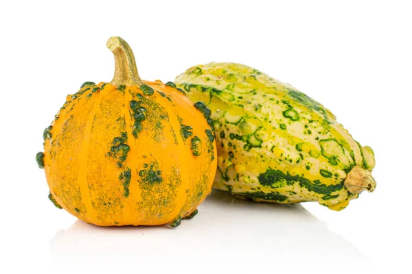 Decorative gourd isolated on white — Stockfoto