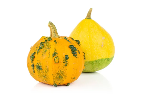 Zucca decorativa isolata su bianco — Foto Stock