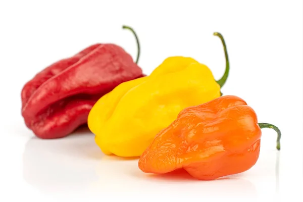 Hot chili peppar isolerad på vit — Stockfoto