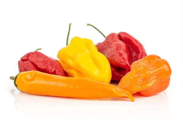 Hot chili pepper isolated on white — Stock Photo, Image