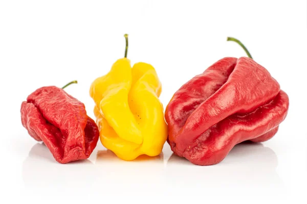 Hot chili peppar isolerad på vit — Stockfoto