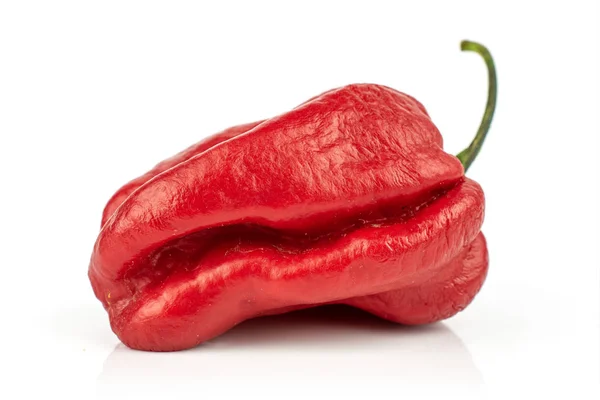 Hot chili pepper izolované na bílém — Stock fotografie