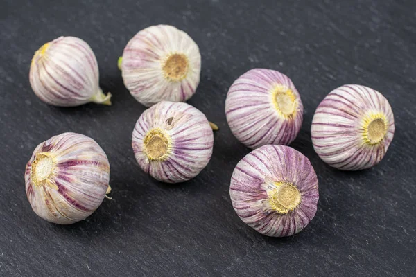 Single clove garlic on grey stone — 图库照片