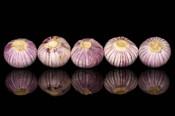 Single clove garlic isolated on black glass — 图库照片