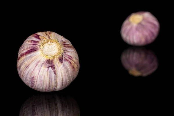 Single clove garlic isolated on black glass — Stok fotoğraf