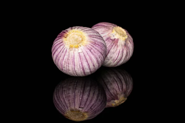 Single clove garlic isolated on black glass — 图库照片