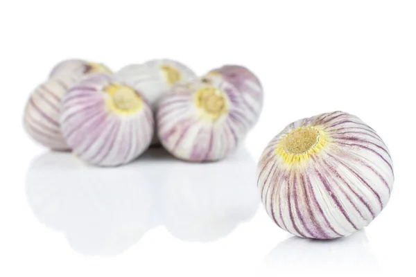 Single clove garlic isolated on white — 图库照片