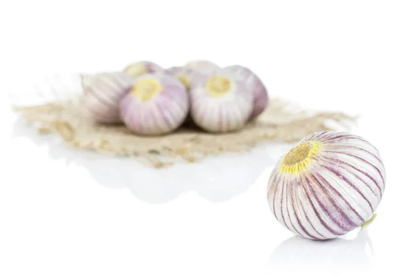Single clove garlic isolated on white — Stockfoto