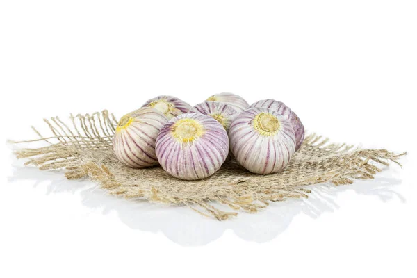 Single clove garlic isolated on white — 图库照片