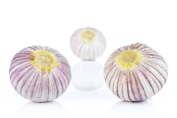 Single clove garlic isolated on white — 图库照片