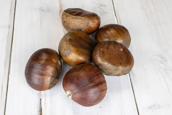 Brown edible chestnut on grey wood — Stok fotoğraf