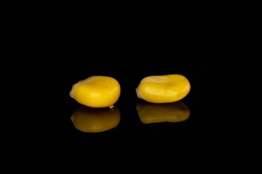 Siyah camda izole edilmiş iki parça konserve sarı mısır.