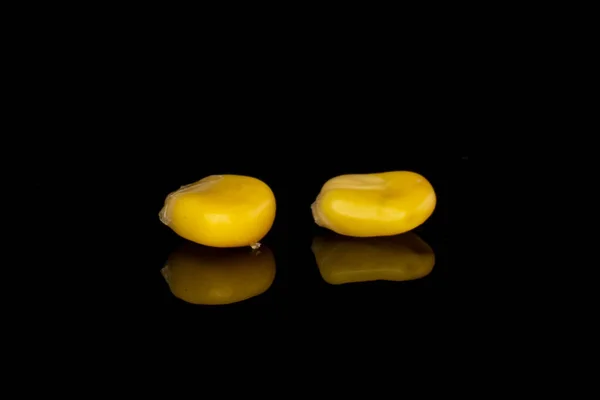 Grupa Dwóch Kawałków Kukurydzy Żółtej Puszce Izolowane Czarnym Szkle — Zdjęcie stockowe