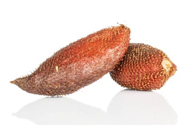 İki egzotik kahverengi madde grubu beyaz arkaplanda izole edildi