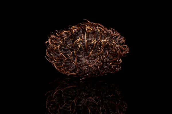 Een Hele Oude Bruine Rambutan Geïsoleerd Zwart Glas — Stockfoto