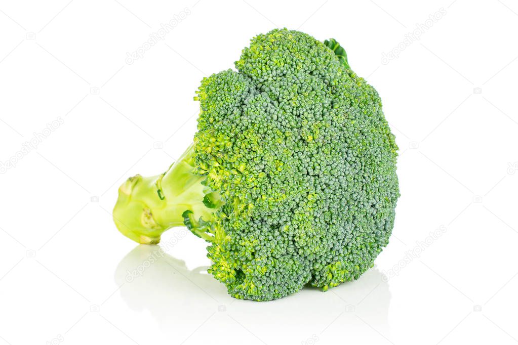 One whole fresh green broccoli head isolated on white background