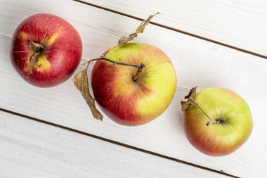 Beyaz ahşap üzerinde üç tane taze bahçe elması grubu.