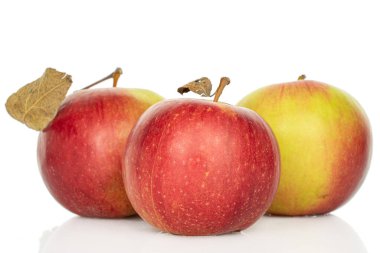 Üç tane taze bahçe elmasından oluşan bir grup beyaz üzerine izole edilmiş.