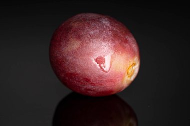 Siyah cama izole edilmiş taze kırmızı bir üzüm meyvesi.