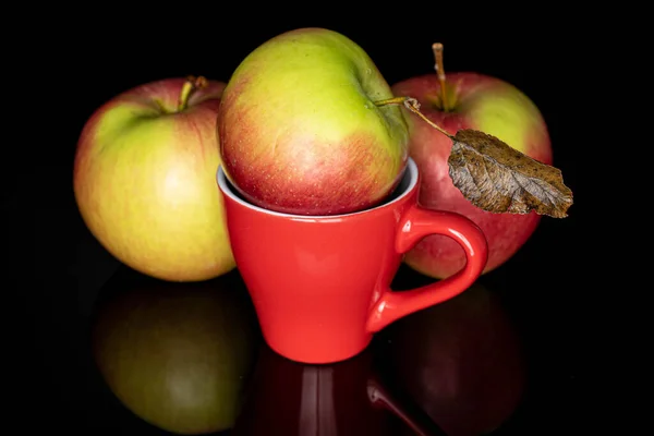 Gruppe Von Drei Ganzen Frischen Gartenapfel Mit Roter Tasse Isoliert — Stockfoto